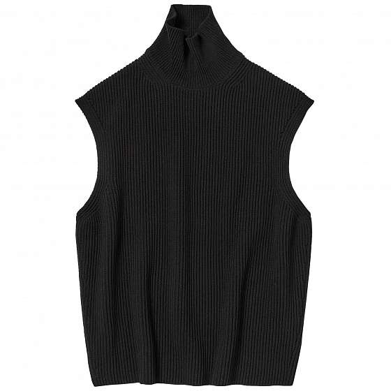 

Жилет Auralee, Черный;black, Super Fine Wool Rib Knit Turtle Neck Vest 2022 BLACK