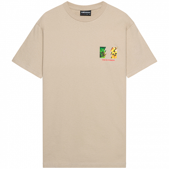 flag t shirt