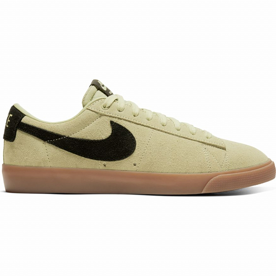 zoom blazer low gt