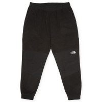 Denali pants cheap north face