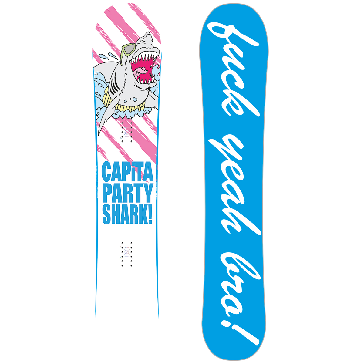 camber profile snowboard